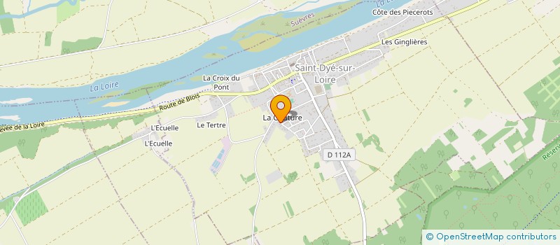 localisation de l'entreprise MONSIEUR NICOLAS MARCHAIS  SAINT-DYE-SUR-LOIRE