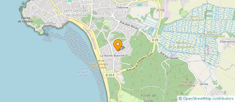 localisation de l'entreprise MONSIEUR NICOLAS MARCHAT  SAINT-GEORGES-DE-DIDONNE