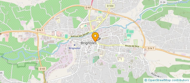 localisation de l'entreprise MONSIEUR NICOLAS MARIOLI à BRIGNOLES
