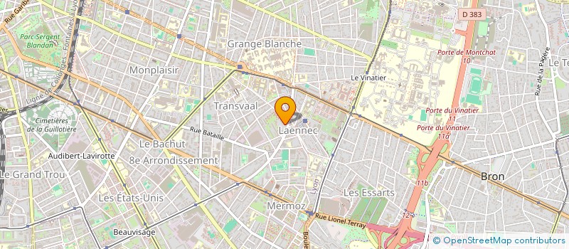 localisation de l'entreprise MONSIEUR NICOLAS MARTINEAU  LYON