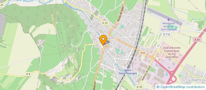 localisation de l'entreprise MONSIEUR NICOLAS MARTINIGOL à NUITS-SAINT-GEORGES