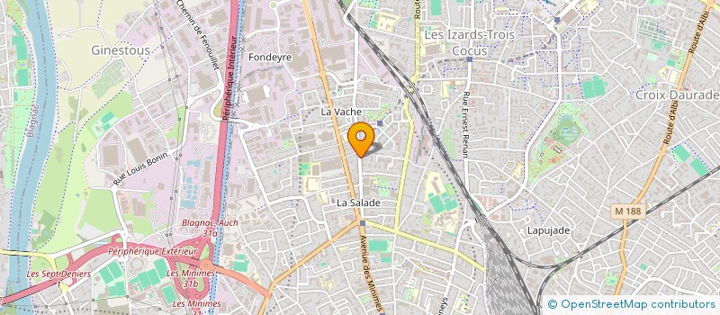 localisation de l'entreprise MONSIEUR NICOLAS MATTUIZZI à TOULOUSE