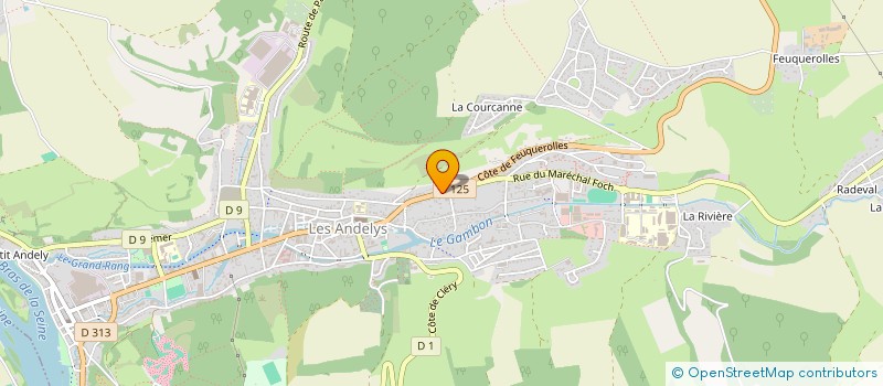 localisation de l'entreprise MONSIEUR NICOLAS MAUGEZ  LES ANDELYS