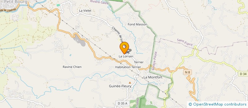 localisation de l'entreprise MONSIEUR NICOLAS MAURICE à RIVIERE-SALEE