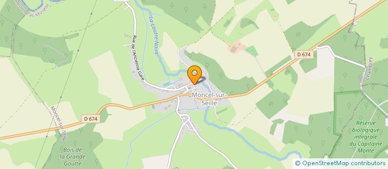localisation de l'entreprise MONSIEUR NICOLAS MAYER  MONCEL-SUR-SEILLE