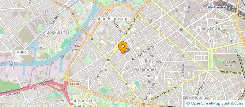 localisation de l'entreprise MONSIEUR NICOLAS MAZURIER à LILLE
