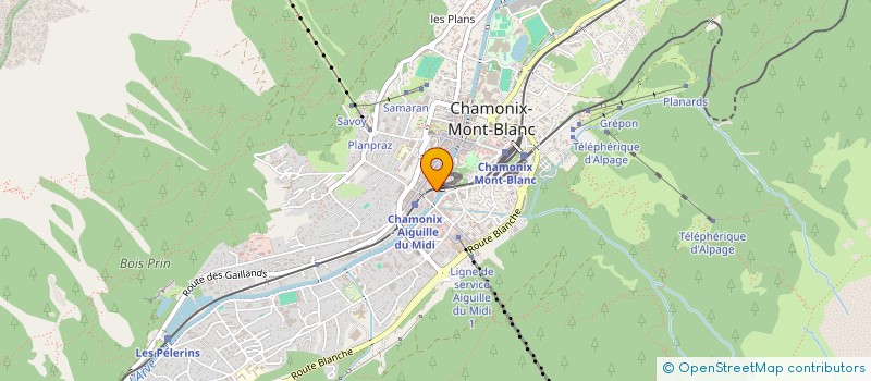 localisation de l'entreprise MONSIEUR NICOLAS MEINARD à CHAMONIX-MONT-BLANC