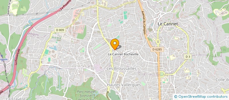 localisation de l'entreprise MONSIEUR NICOLAS MERLINO à LE CANNET