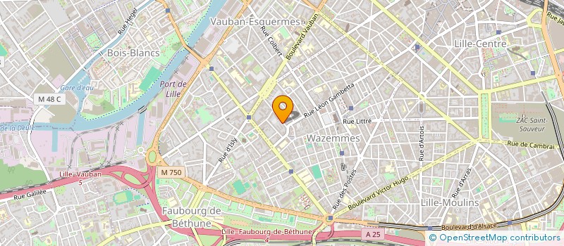 localisation de l'entreprise MONSIEUR NICOLAS MICHAUD à LILLE