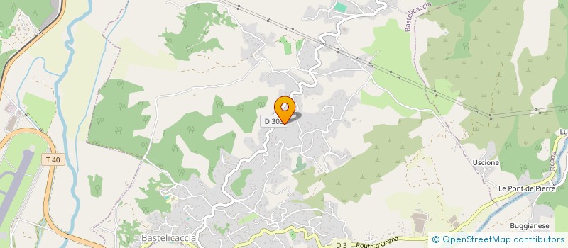 localisation de l'entreprise MONSIEUR NICOLAS MICHELETTI  BASTELICACCIA