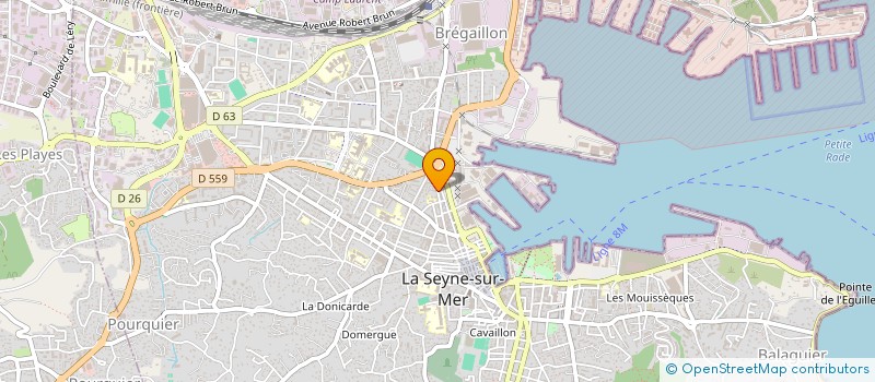 localisation de l'entreprise MONSIEUR NICOLAS MICHELETTI à LA SEYNE-SUR-MER