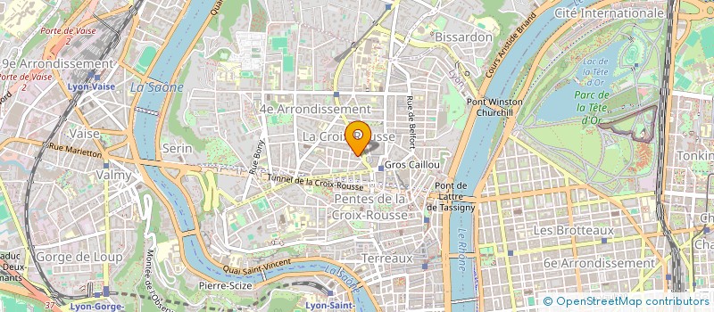 localisation de l'entreprise MONSIEUR NICOLAS MICHELLIER à LYON