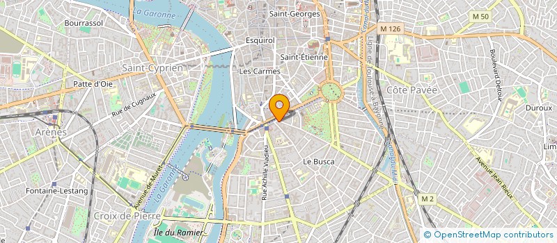 localisation de l'entreprise MONSIEUR NICOLAS MIEDZYRZECKI à TOULOUSE