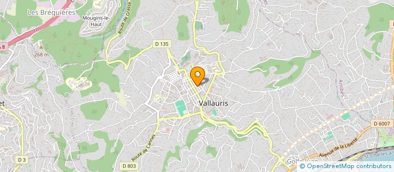 localisation de l'entreprise MONSIEUR NICOLAS MILOKANOVIC à VALLAURIS