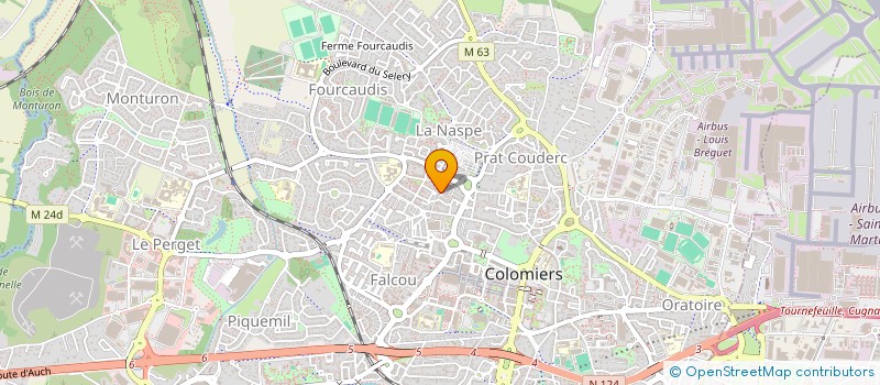 localisation de l'entreprise MONSIEUR NICOLAS MIOTTO à COLOMIERS