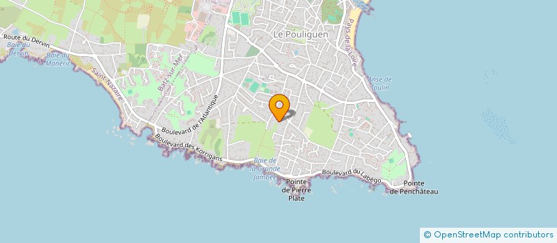 localisation de l'entreprise MONSIEUR NICOLAS MOSOIU  LE POULIGUEN