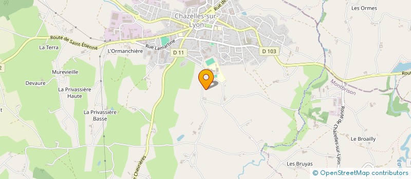 localisation de l'entreprise MONSIEUR NICOLAS MOULIN à CHAZELLES SUR LYON