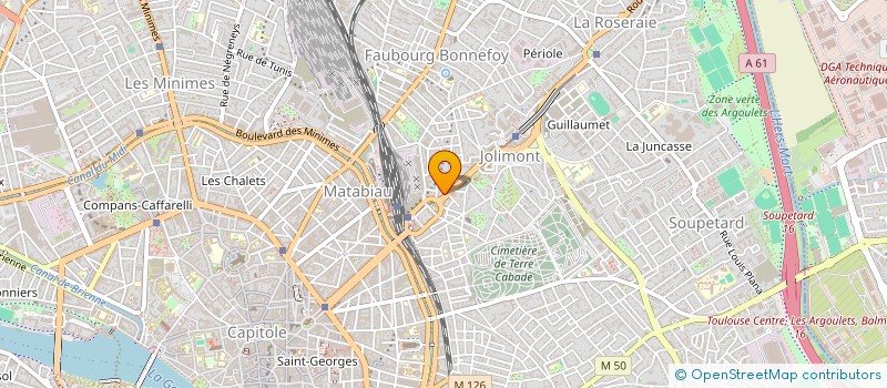 localisation de l'entreprise MONSIEUR NICOLAS MULET  BLAGNAC