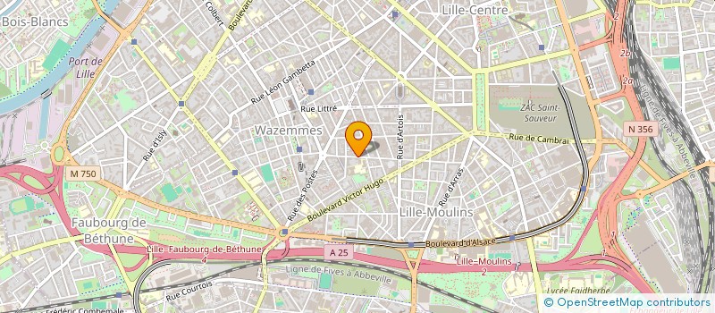 localisation de l'entreprise MONSIEUR NICOLAS MUNGO à LILLE