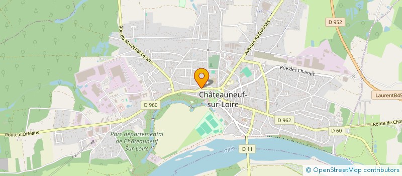 localisation de l'entreprise MONSIEUR NICOLAS NAOUMENKO  CHATEAUNEUF-SUR-LOIRE