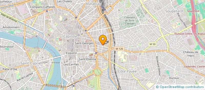 localisation de l'entreprise MONSIEUR NICOLAS NARCISSE à TOULOUSE