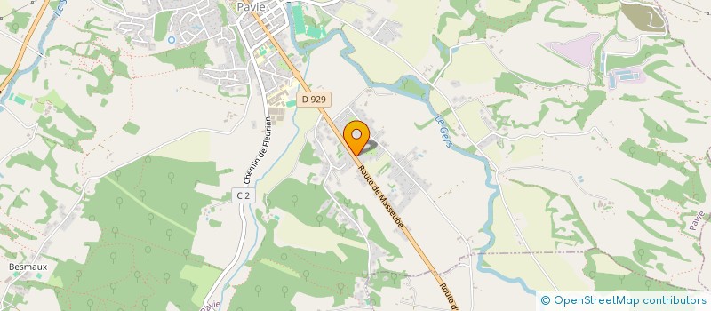 localisation de l'entreprise MONSIEUR NICOLAS NERIN  PAVIE