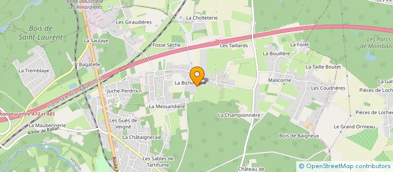 localisation de l'entreprise MONSIEUR NICOLAS NEVEU  VEIGNE