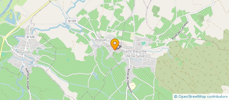 localisation de l'entreprise MONSIEUR NICOLAS NONNON  POPIAN