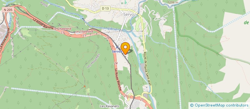 localisation de l'entreprise MONSIEUR NICOLAS PAREAU  LES HOUCHES