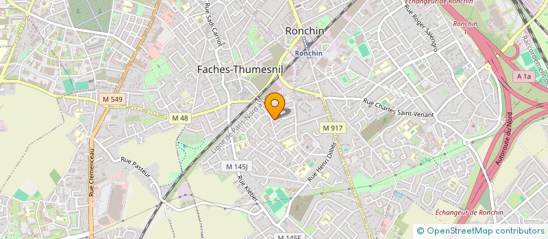 localisation de l'entreprise MONSIEUR NICOLAS PELCENER  FACHES-THUMESNIL