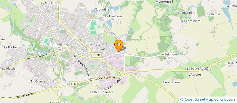 localisation de l'entreprise MONSIEUR NICOLAS PELE  LE POIRE-SUR-VIE