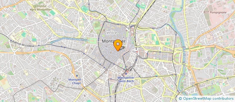 localisation de l'entreprise MONSIEUR NICOLAS PERROUD à MONTPELLIER