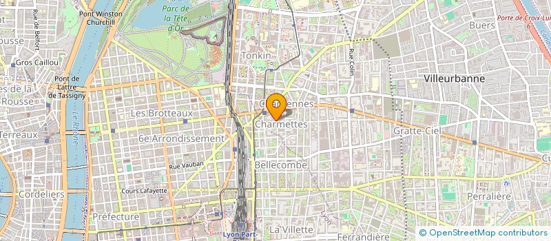 localisation de l'entreprise MONSIEUR NICOLAS PESSON  VILLEURBANNE