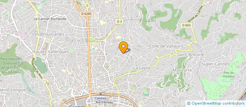 localisation de l'entreprise MONSIEUR NICOLAS PETIT  CANNES