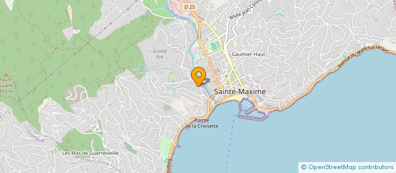 localisation de l'entreprise MONSIEUR NICOLAS PEYCLET  SAINTE-MAXIME