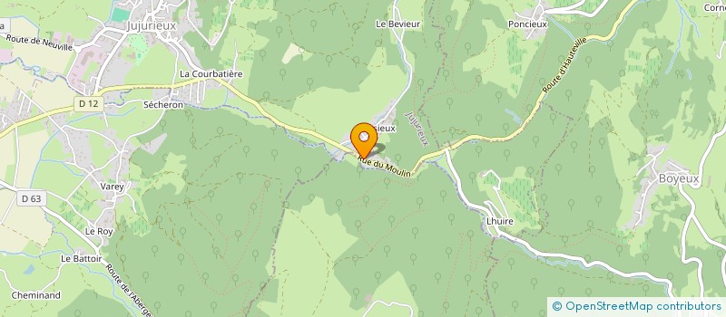 localisation de l'entreprise MONSIEUR NICOLAS PICCARD  SAINT-JEAN-LE-VIEUX