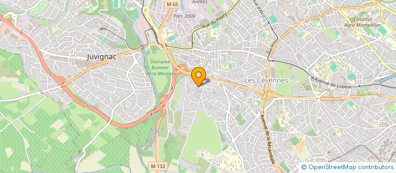 localisation de l'entreprise MONSIEUR NICOLAS PICCOLI à MONTPELLIER