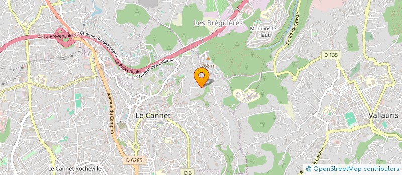 localisation de l'entreprise MONSIEUR NICOLAS PIPITONE  LE CANNET