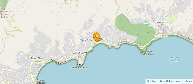 localisation de l'entreprise MONSIEUR NICOLAS PODDA à LE LAVANDOU