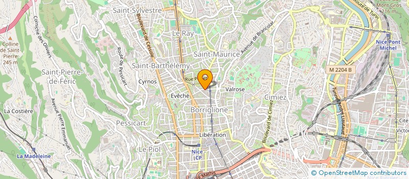 localisation de l'entreprise MONSIEUR NICOLAS POISSON à NICE