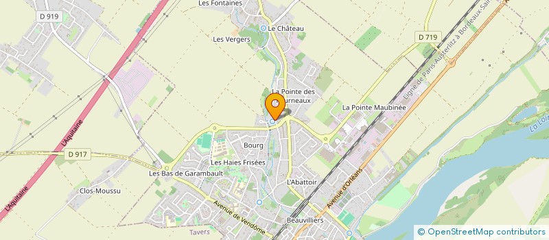 localisation de l'entreprise MONSIEUR NICOLAS POISSON à BEAUGENCY