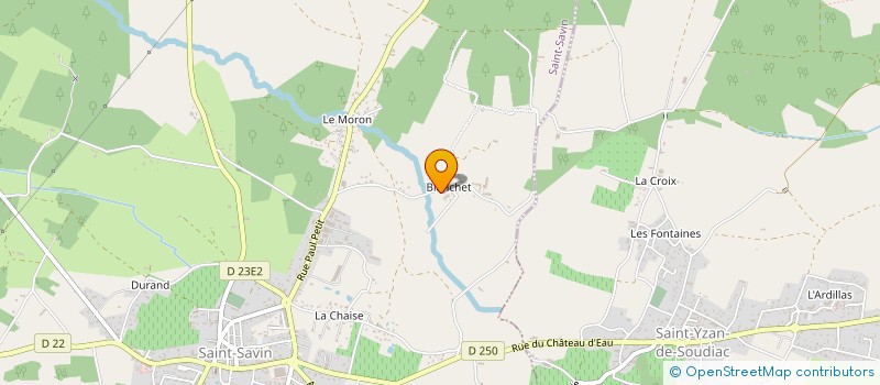 localisation de l'entreprise MONSIEUR NICOLAS PONTOIS  SAINT-SAVIN