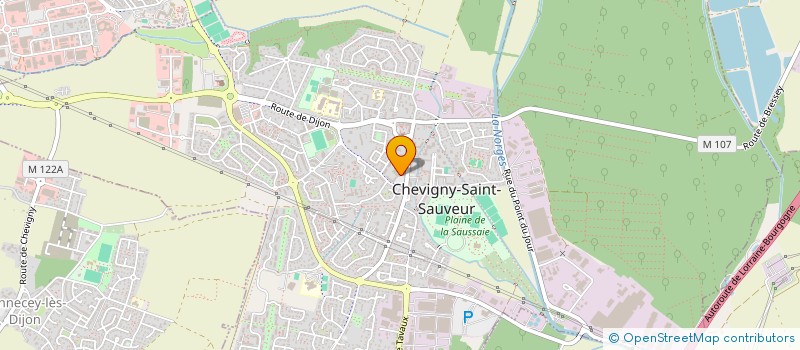 localisation de l'entreprise MONSIEUR NICOLAS PORCELLINI à CHEVIGNY-SAINT-SAUVEUR
