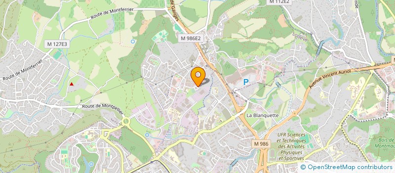 localisation de l'entreprise MONSIEUR NICOLAS PUIG  GRABELS