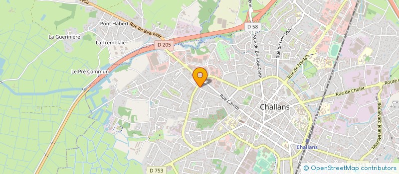 localisation de l'entreprise MONSIEUR NICOLAS PUPETTO à CHALLANS