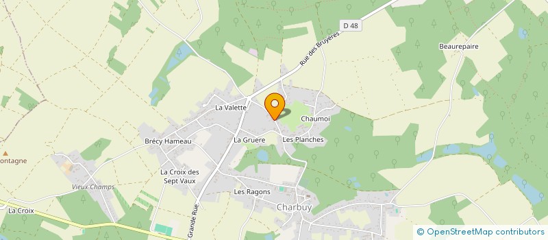 localisation de l'entreprise MONSIEUR NICOLAS QUEUDOT  FLEURY-LA-VALLEE