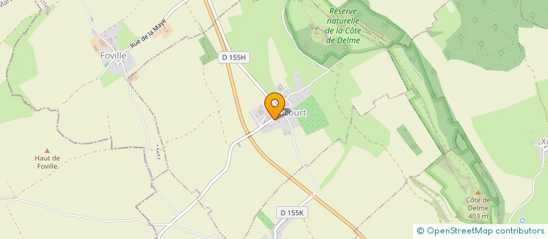 localisation de l'entreprise MONSIEUR NICOLAS RAMPON  LIOCOURT