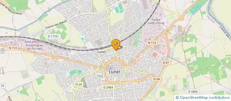 localisation de l'entreprise MONSIEUR NICOLAS RAYAN  LUNEL