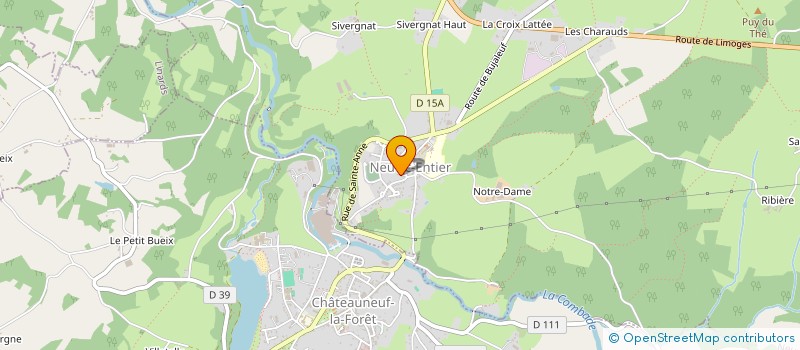 localisation de l'entreprise MONSIEUR NICOLAS REGAT  NEUVIC-ENTIER