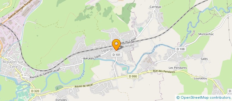 localisation de l'entreprise MONSIEUR NICOLAS REINARD à ARPAJON-SUR-CERE